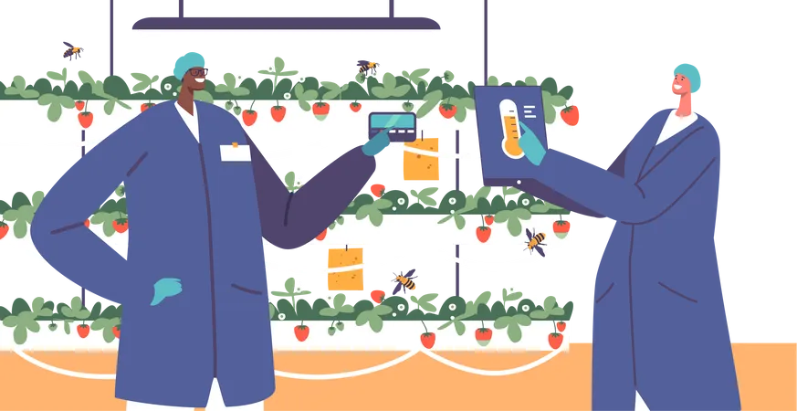 Automation Of Strawberry Production In Garden  Illustration