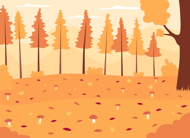 Autumn woods  Illustration