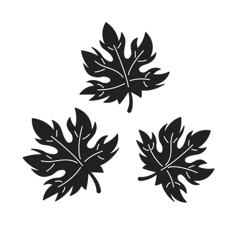 Autumnal maple leaves  Illustration