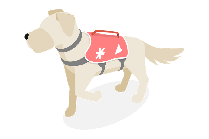Avalanche Rescue Dog  Illustration
