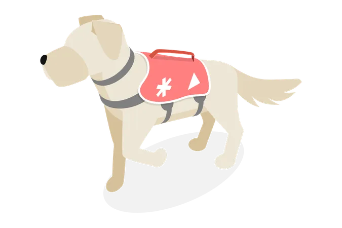 Avalanche Rescue Dog  Illustration