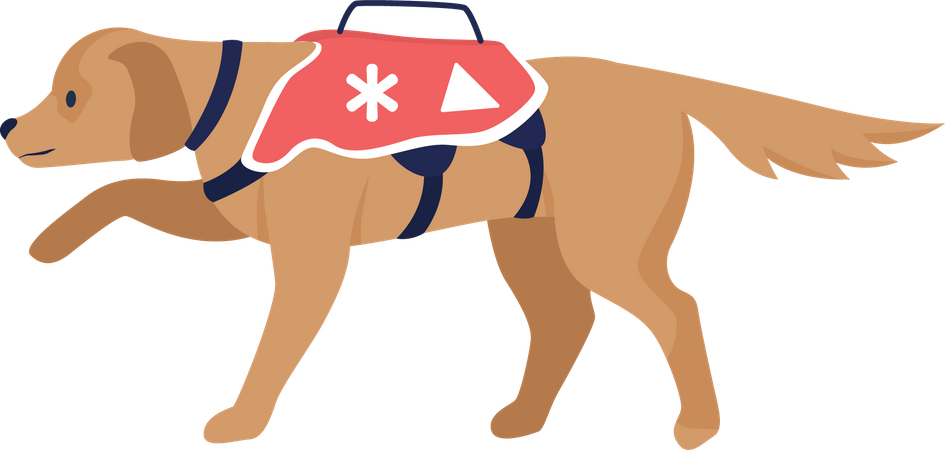 Avalanche rescue dog Illustration
