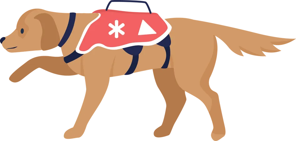 Avalanche rescue dog  Illustration