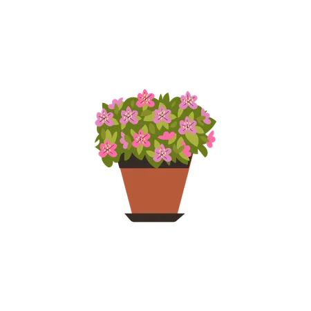 植木鉢のツツジの花  イラスト