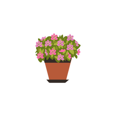 Azalea flower in a flower pot  Illustration