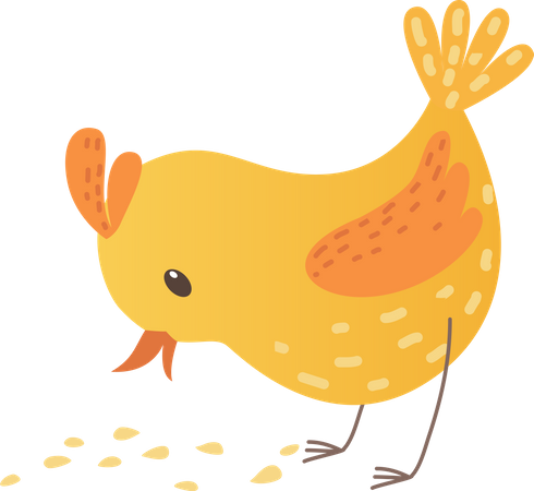 Baby chicken  Illustration