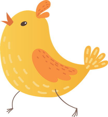 Baby chicken  Illustration