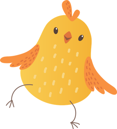 Baby chicken  Illustration