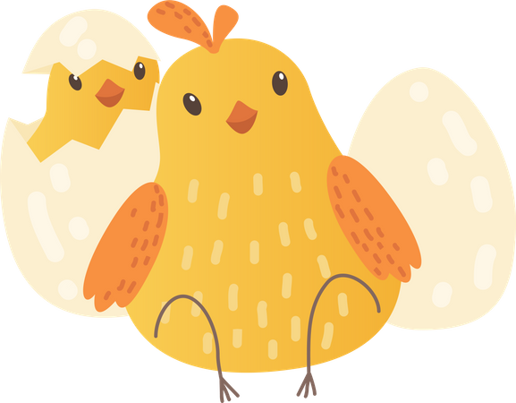 Baby chicken  Illustration