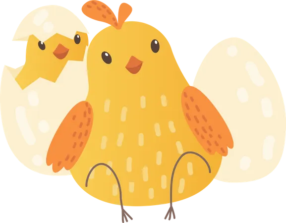 Baby chicken  Illustration