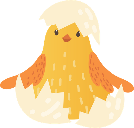 Baby chicken  Illustration