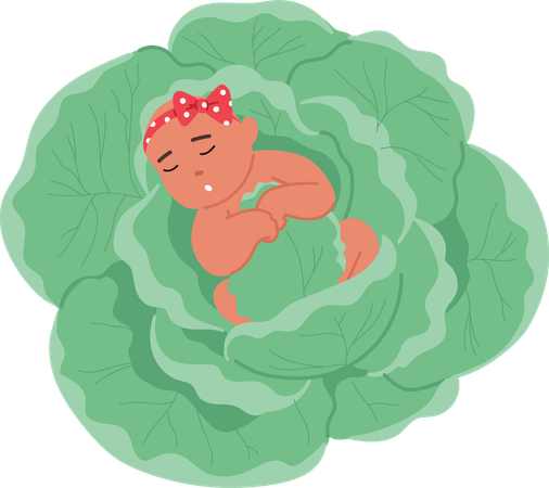 Baby Comfortably Napping On Bed Of Green Cabbage Leaves  Illustration