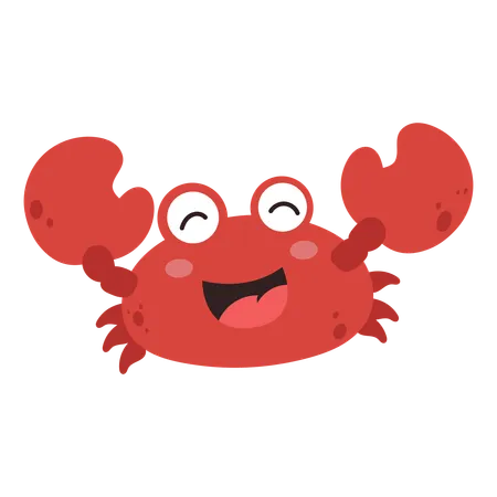 Baby Crab  Illustration