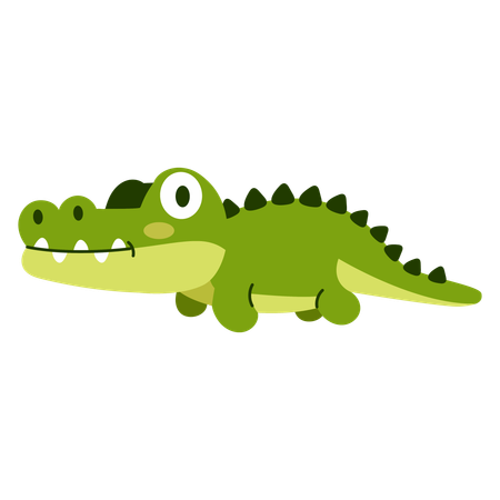 Baby crocodile  Illustration