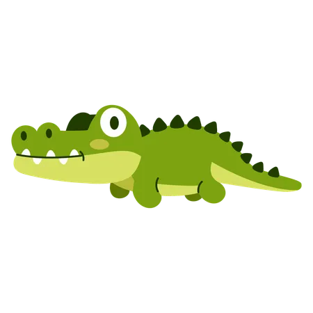 Crocodile Baby For Baby Animal Illustration