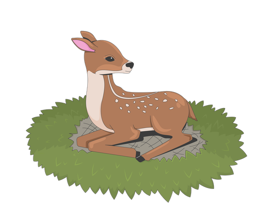 Baby deer resting on grass  Illustration