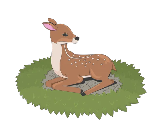 Baby deer resting on grass  Illustration