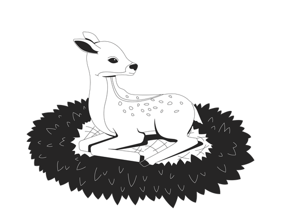 Baby deer resting on grass  Illustration