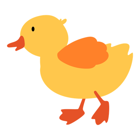 Baby Duckling  Illustration