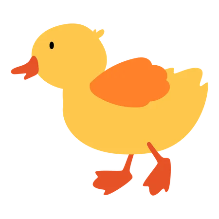 Duckling Baby Animal Illustration Illustration