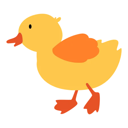 Baby Duckling  Illustration