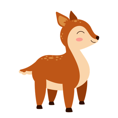 Baby Fawn  Illustration