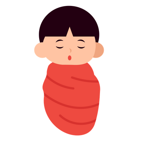 Baby Girl Sleeping in  baby swaddle  Illustration