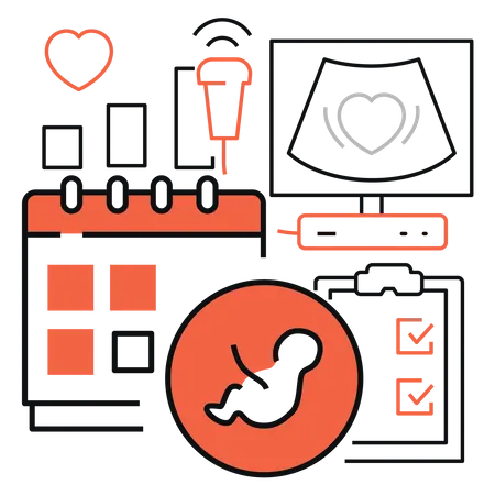 Baby Healthy Checkup  Illustration