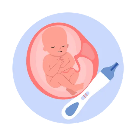 Baby im Mutterleib  Illustration