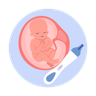 womb illustration