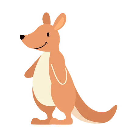 Joey Or Baby Kangaroo Animal Illustration