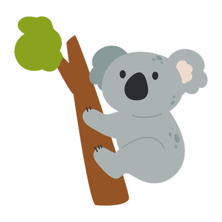 Baby koala  イラスト