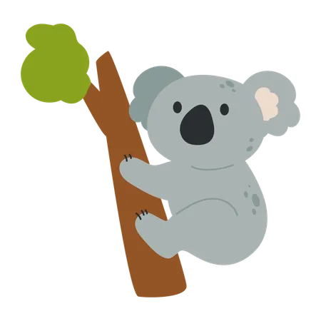 Koala Cub Illustration イラスト