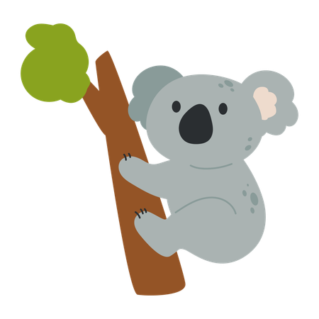 Baby koala  Illustration