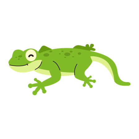 Baby lizard  Illustration