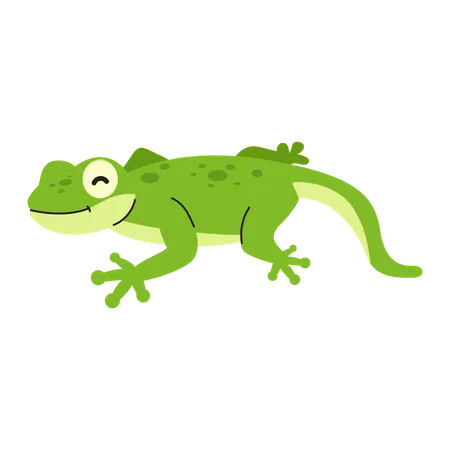Baby lizard  Illustration