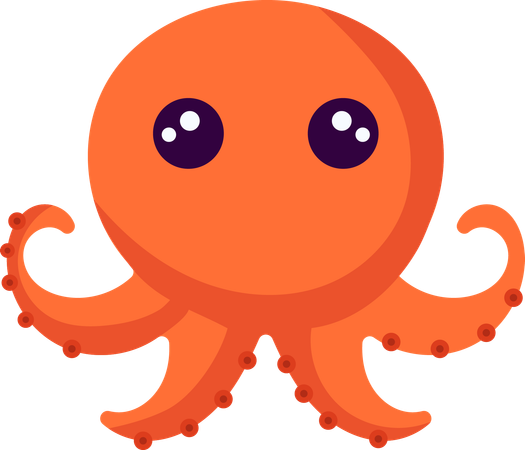 Baby Octopus  Illustration