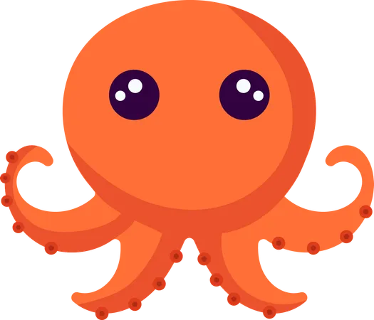 Baby Octopus  Illustration