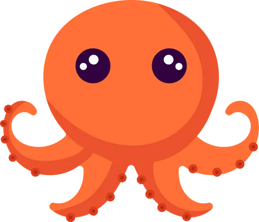 Baby-Oktopus  Illustration