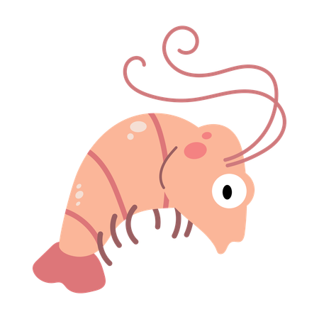 Baby shrimp  Illustration