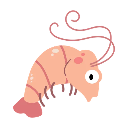Baby Shrimp For Baby Animal Illustration
