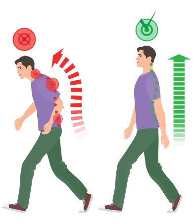 Back Posture  Illustration