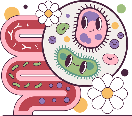Bacteria slows down stomach digestion  Illustration