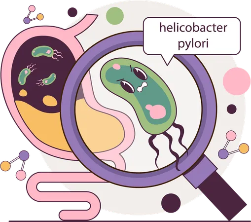 Bacteria spreading in stomach  Illustration