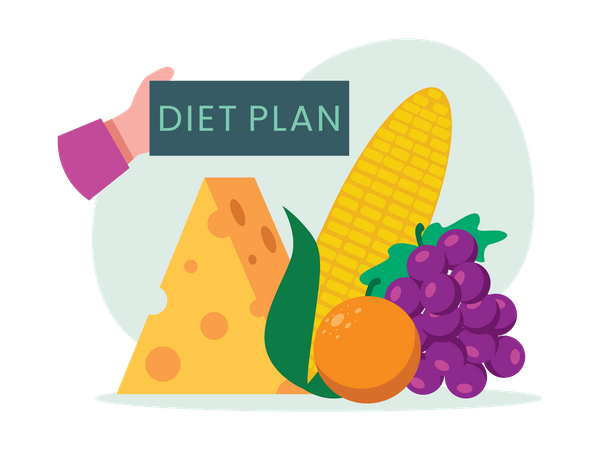 Balanced diet plan  Illustration