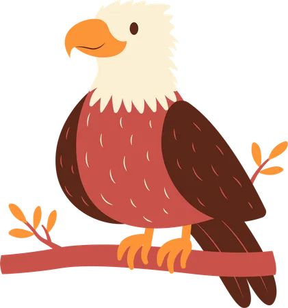 Bald Eagle  Illustration