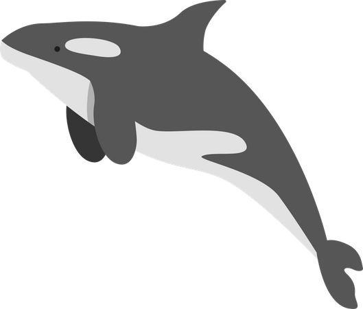 Baleia de água fria  Ilustração