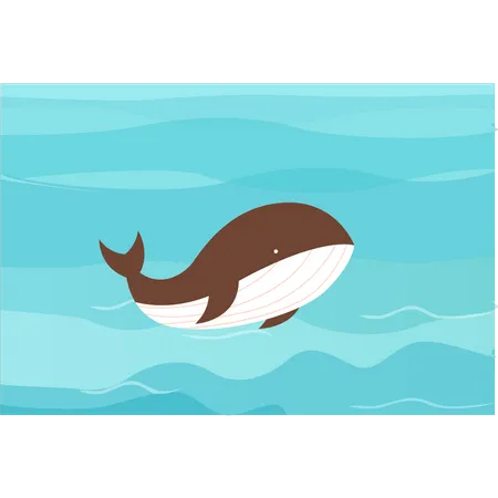 Baleine en mer  Illustration