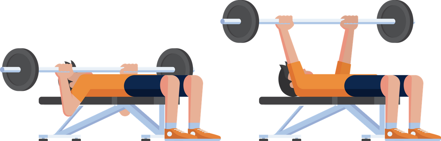 Barbell Bench Press  Illustration