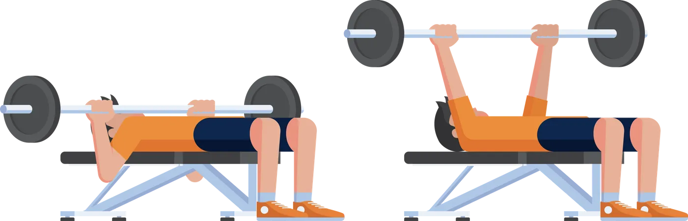 Barbell Bench Press  Illustration